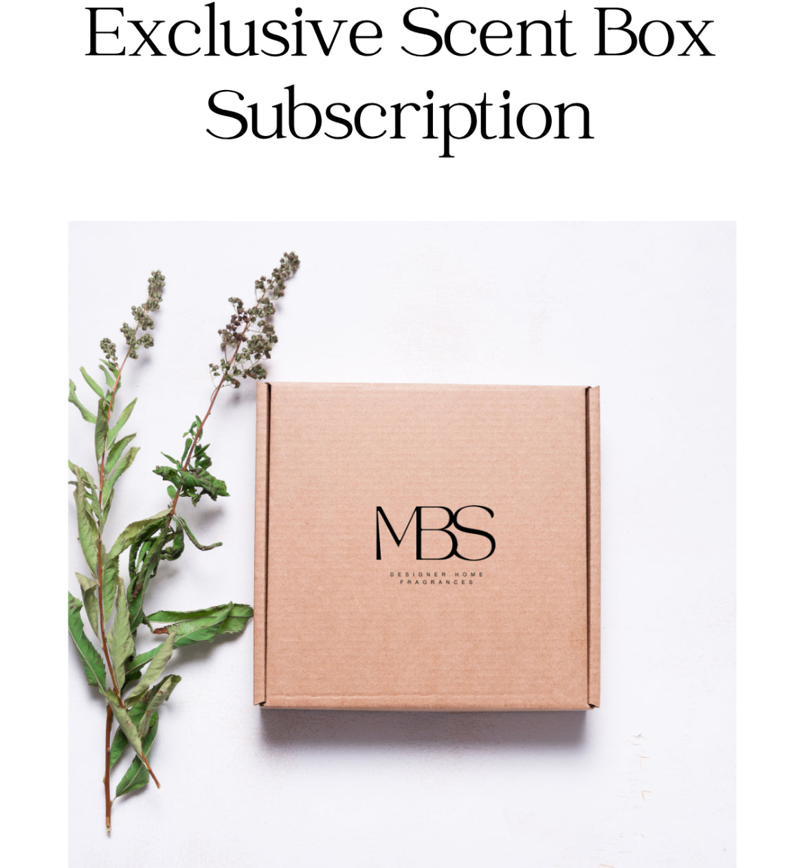 MBS Exclusive Scent Box - Mind Body & Scents, LLC