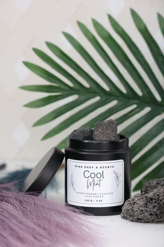 Cool Mint | 9 oz Lava Rocks - Mind Body & Scents, LLC